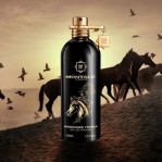 MONTALE MONTALE Arabians Tonka