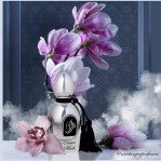 Arabesque Perfumes Arabesque Perfumes Elusive Musk