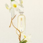 KENZO KENZO Soleil The