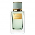 DOLCE & GABBANA DOLCE & GABBANA Velvet Infusion