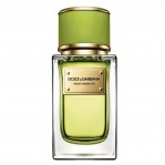 DOLCE & GABBANA DOLCE & GABBANA Velvet Mughetto