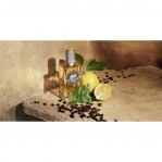 DOLCE & GABBANA DOLCE & GABBANA Devotion Pour Homme